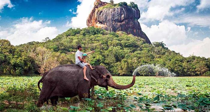 Srilanka Vacations